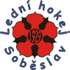 韦普尔尼斯